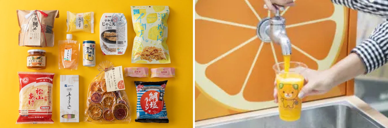 ※写真はイメージです