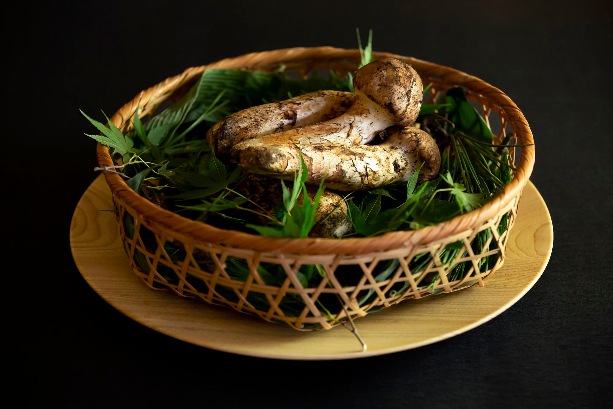 ※写真はイメージです