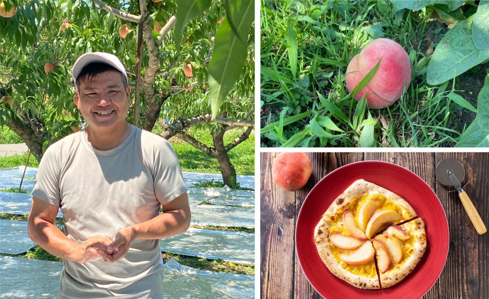 （左）桃生産者「土屋農園」の土屋裕紀氏／（右上）完熟して落ちてしまった桃、リソース不足から今までは放置されていた。（右下）八芳園パティシェが冷凍フルーティピッツァとして製品化に成功