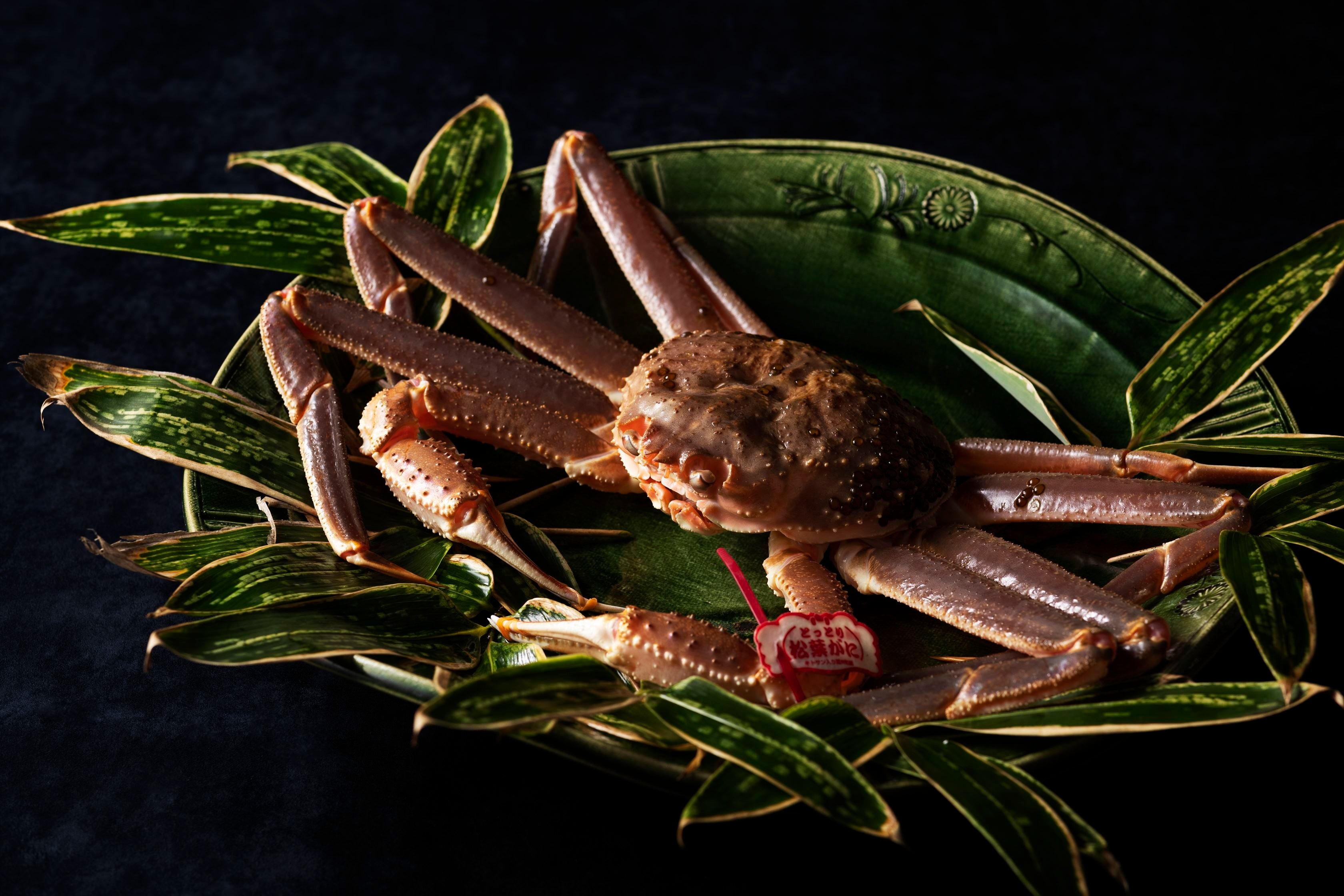 ※写真はイメージです