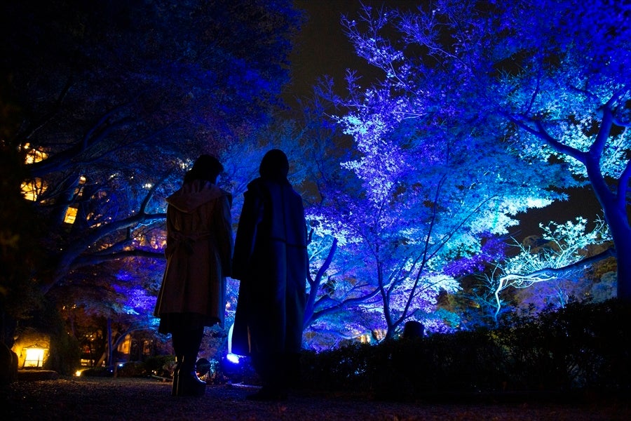 ※写真はイメージです