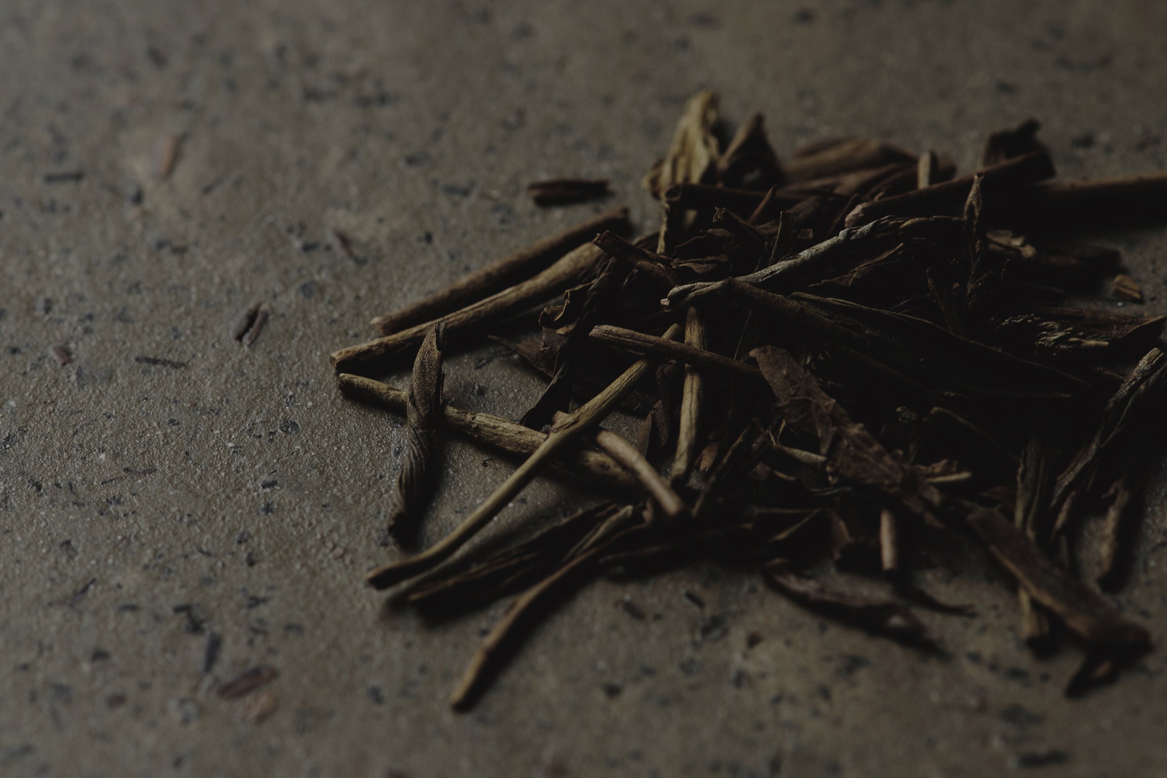 ※写真はイメージです