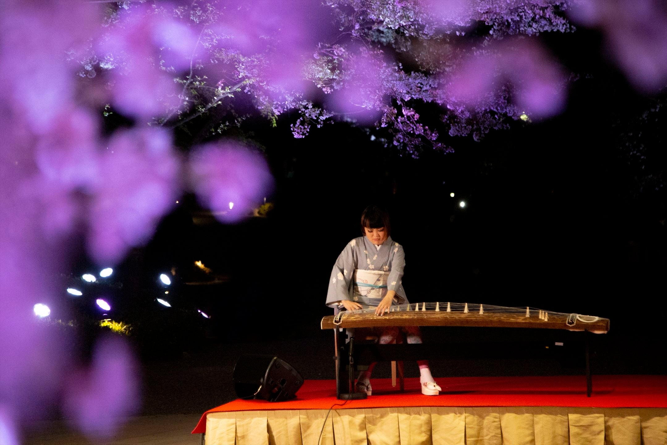 春、灯る」春祭り開催】約400年続く日本庭園がピンク色に染まる