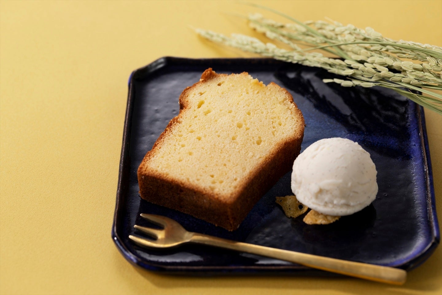 ※写真はイメージです