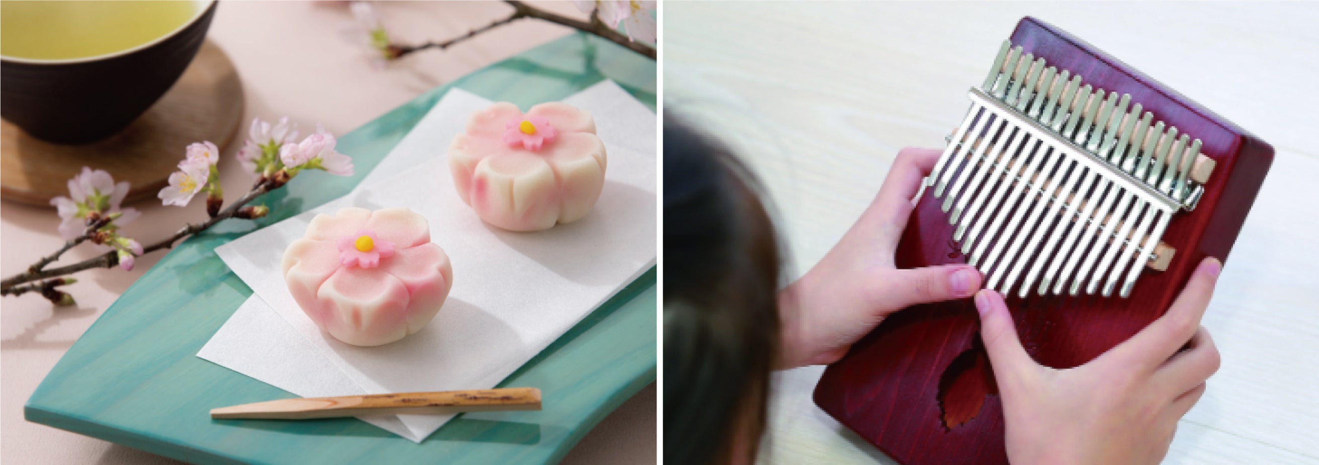 ※写真はイメージです