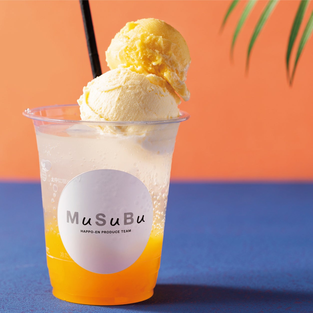 ※写真はイメージです