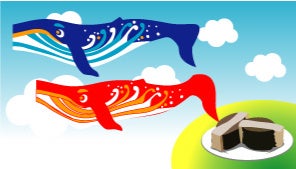 写真提供：くじらのぼりのピノキオエンタープライズ（宮崎市佐土原町）