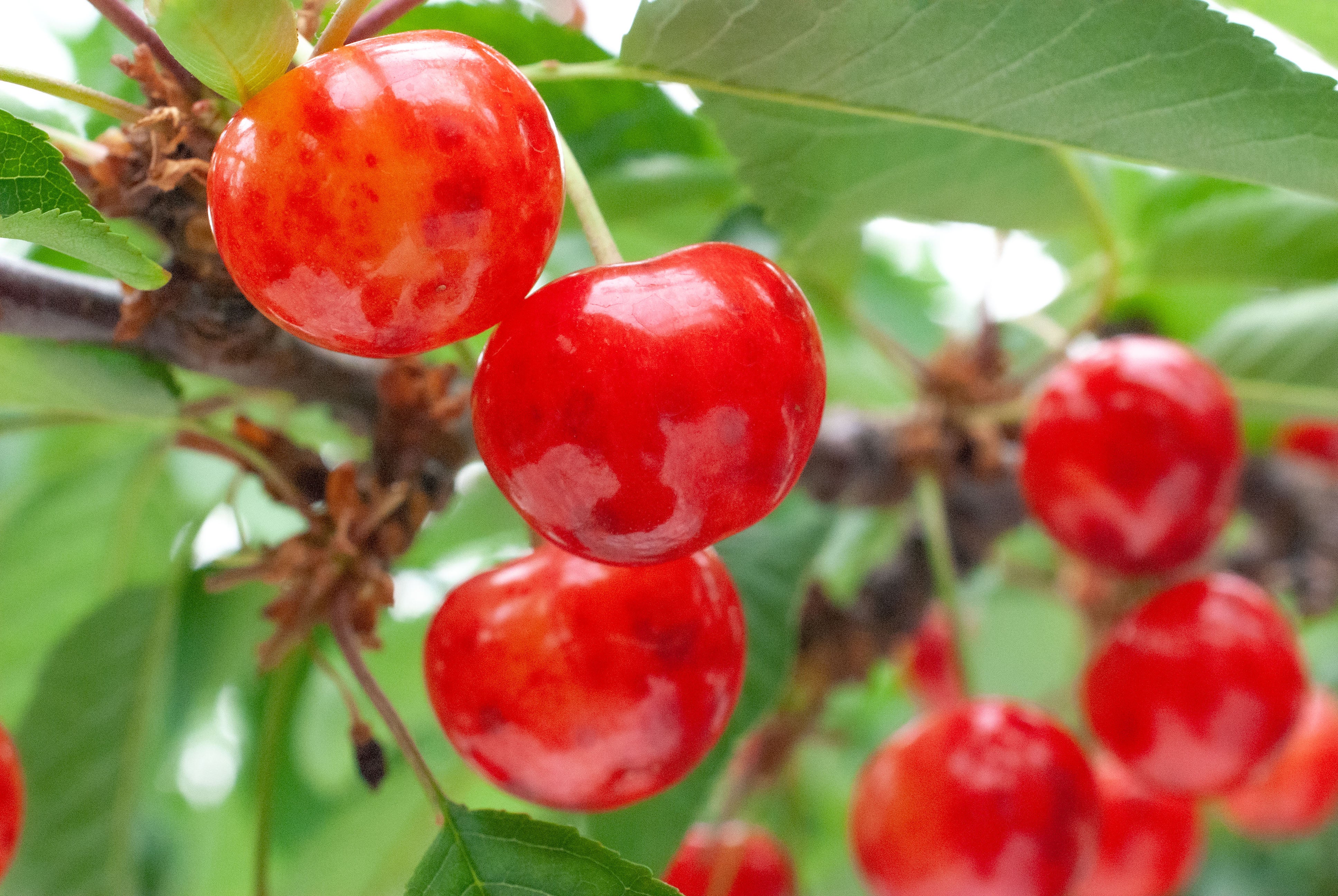 ※写真はイメージです