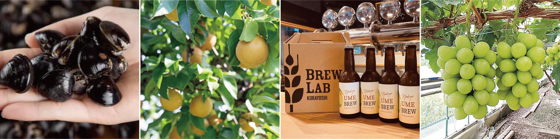 ※写真はイメージです