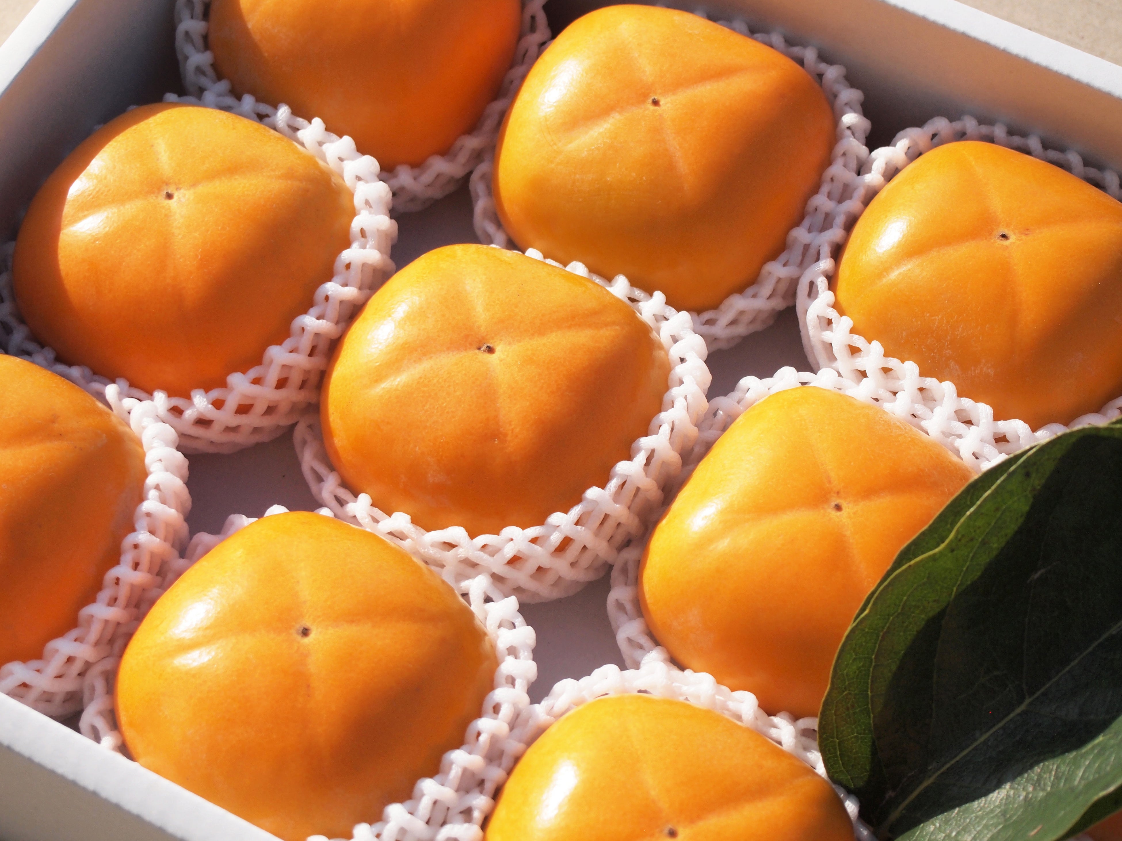 ※写真イメージです