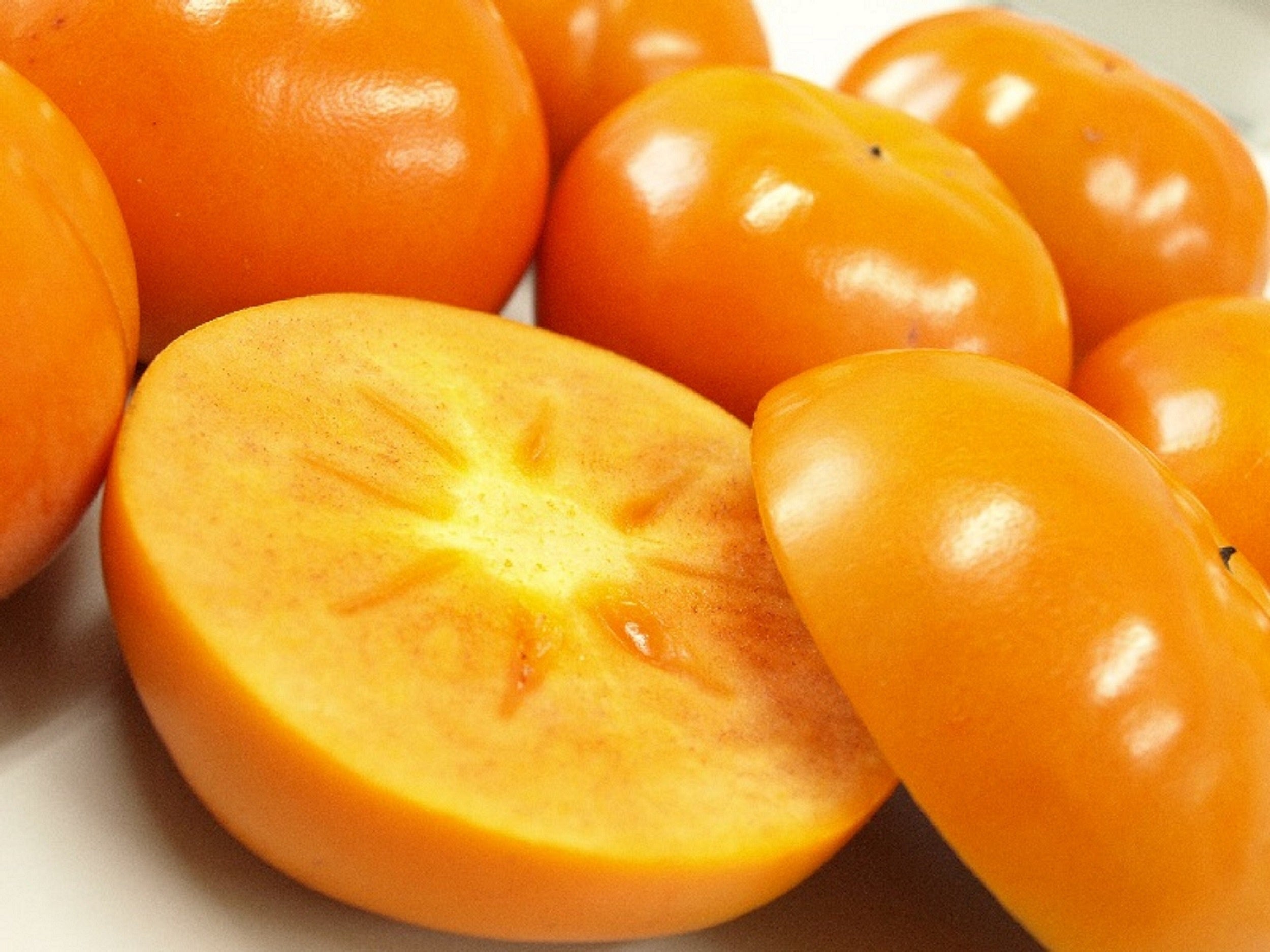 ※写真イメージです