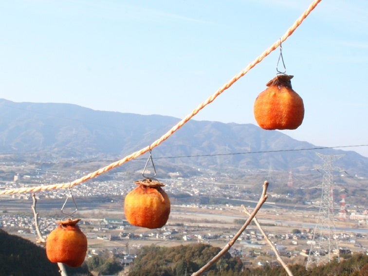 ※写真はイメージです