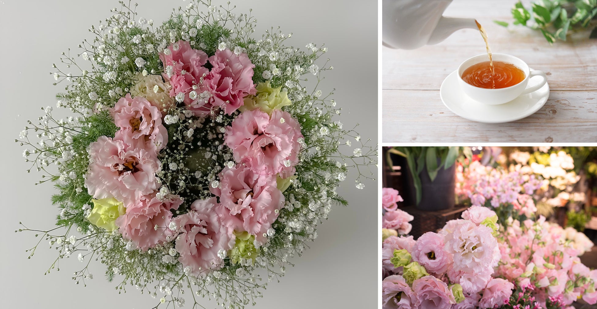 ※写真はイメージです