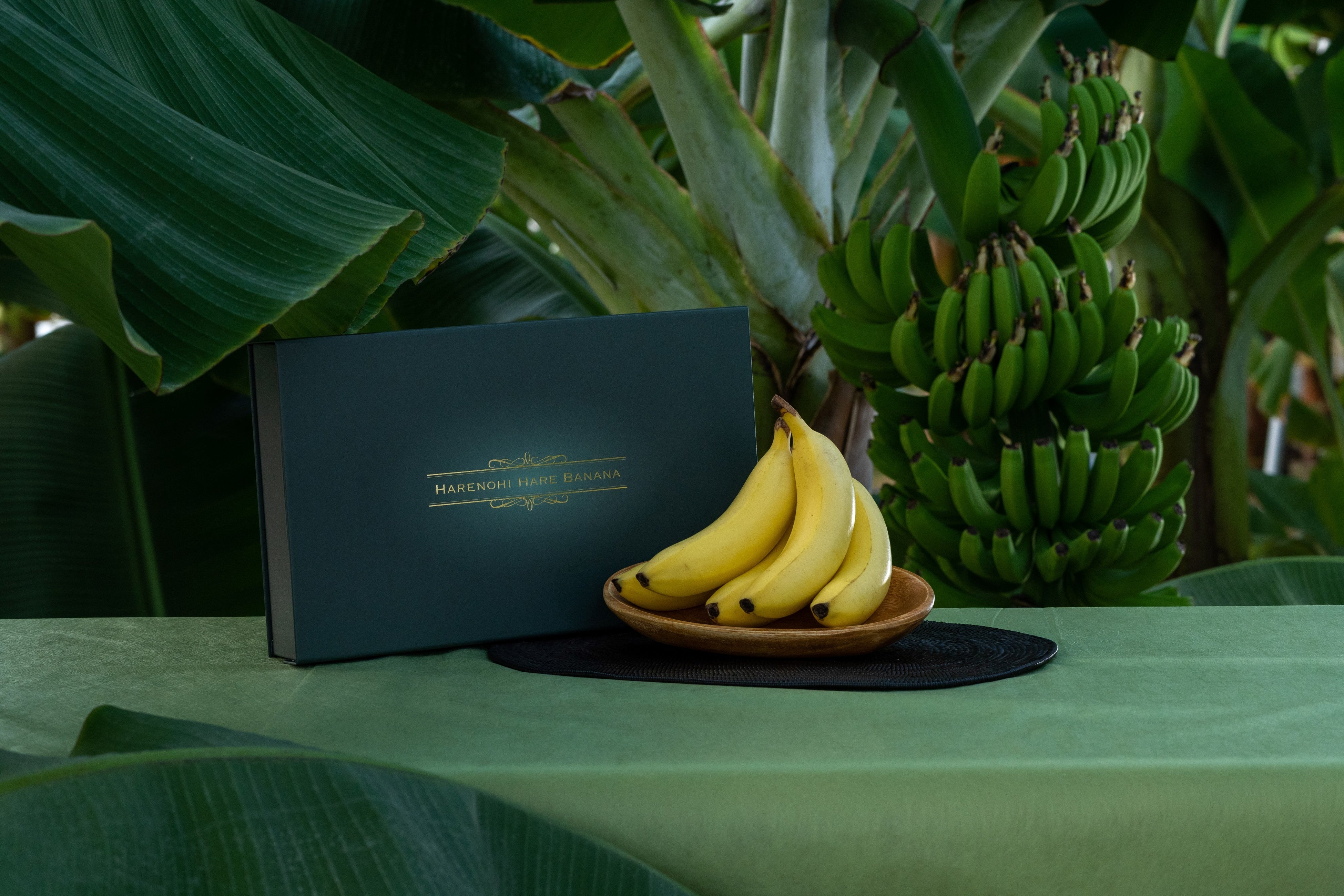 ※写真はイメージです