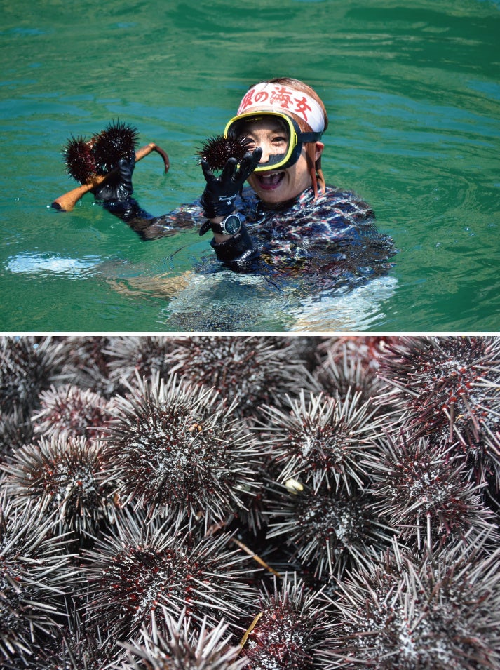 ※写真はイメージです