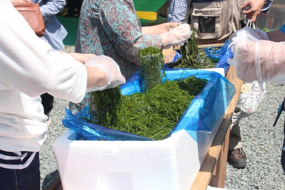 ※写真はイメージです