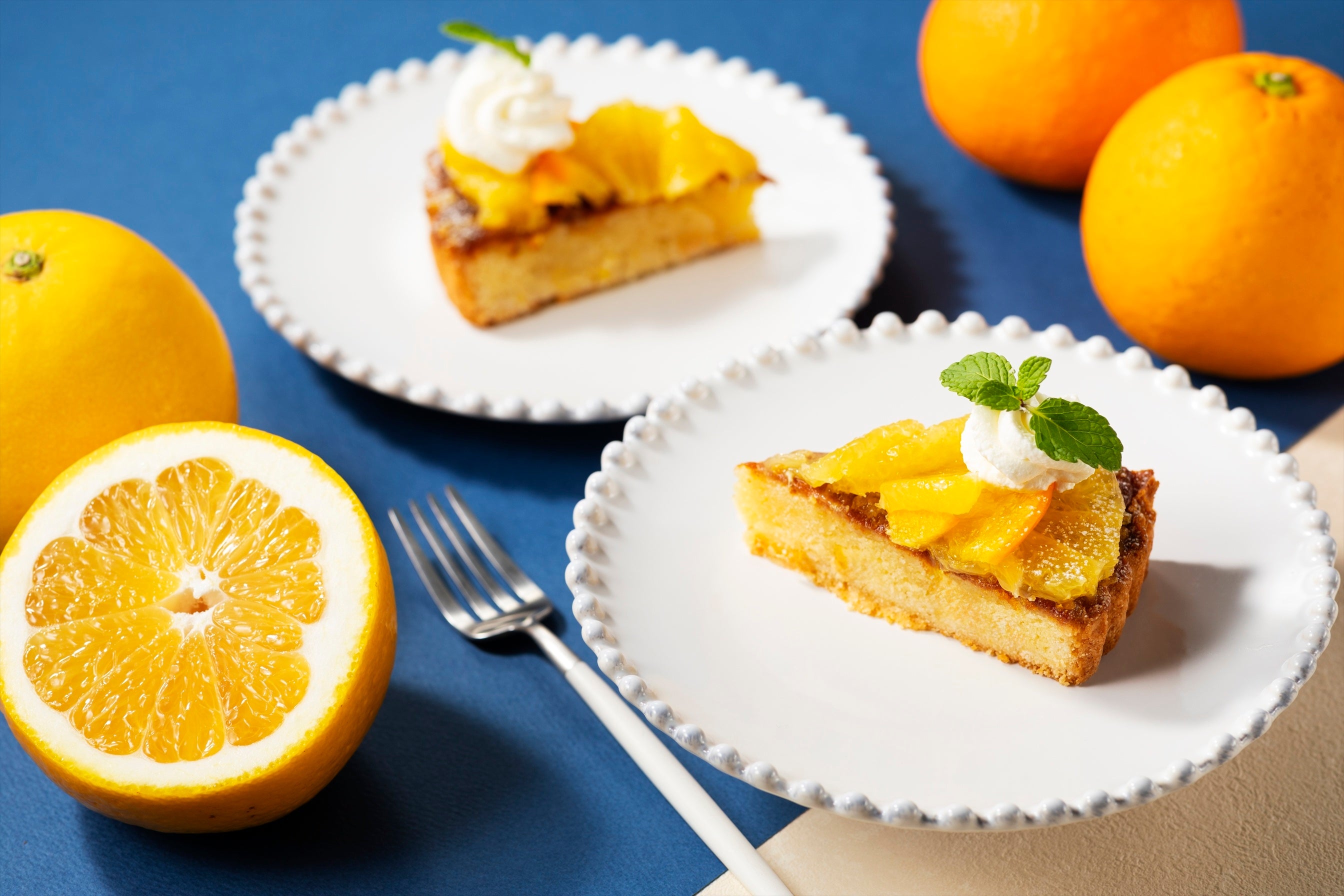 ※写真はイメージです