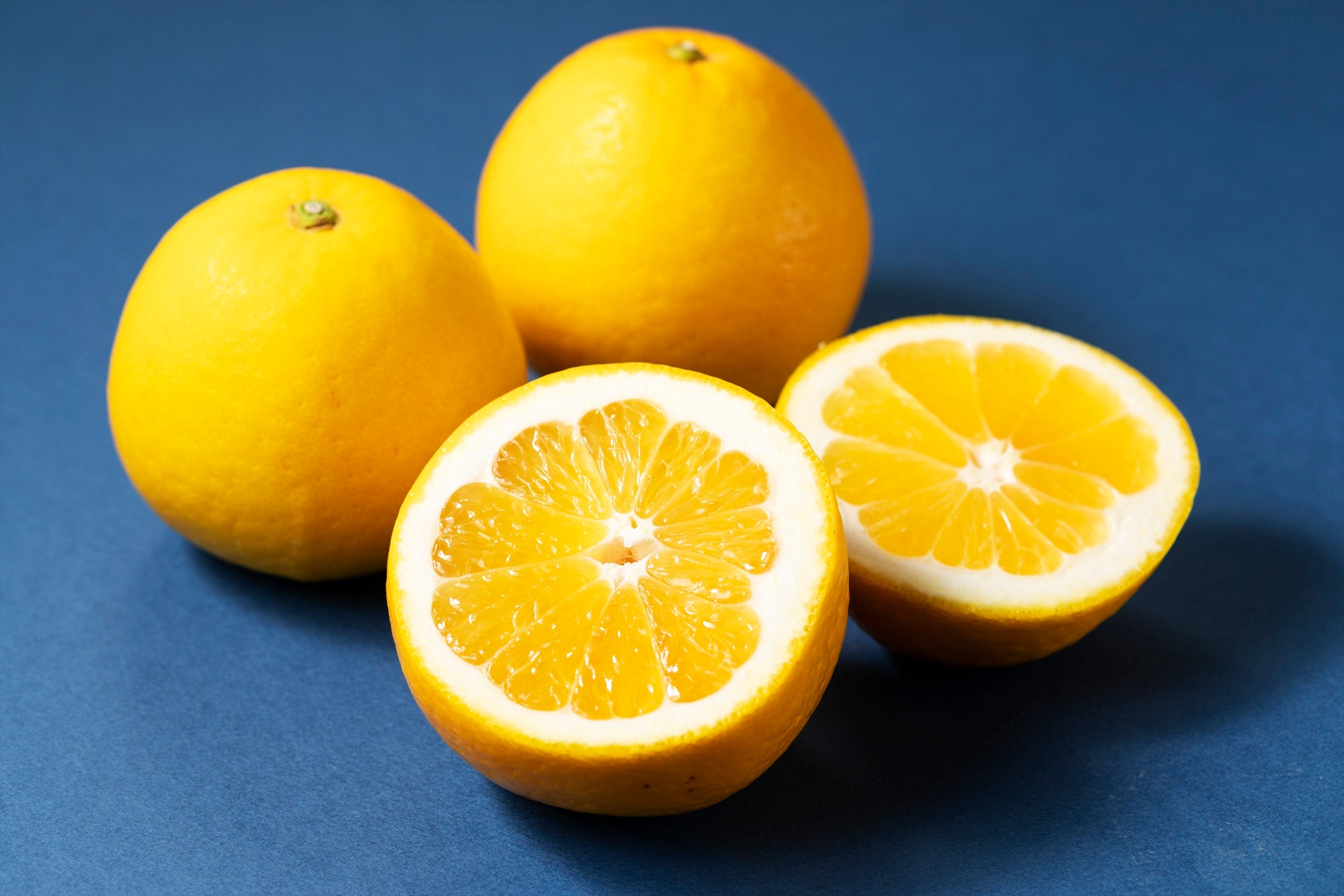 ※写真はイメージです