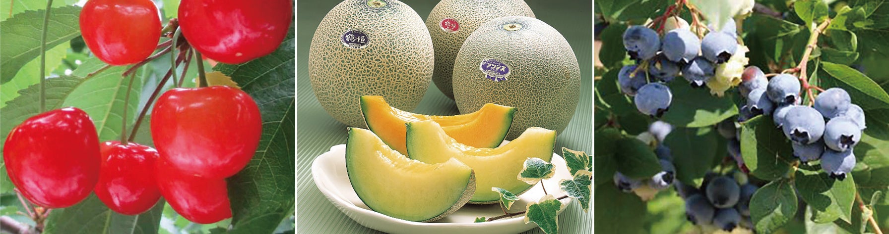 ※写真はイメージです