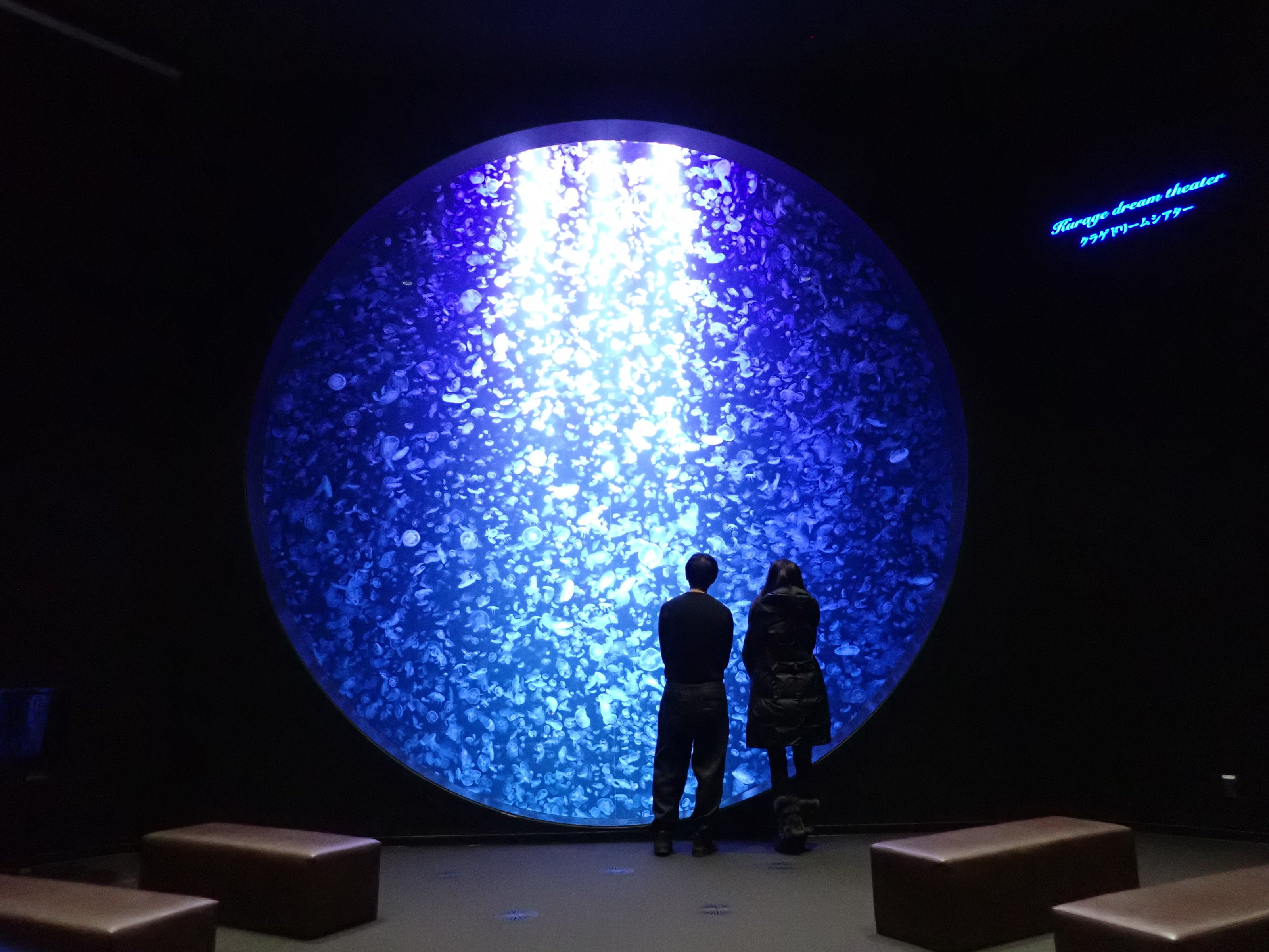 ※写真はイメージです