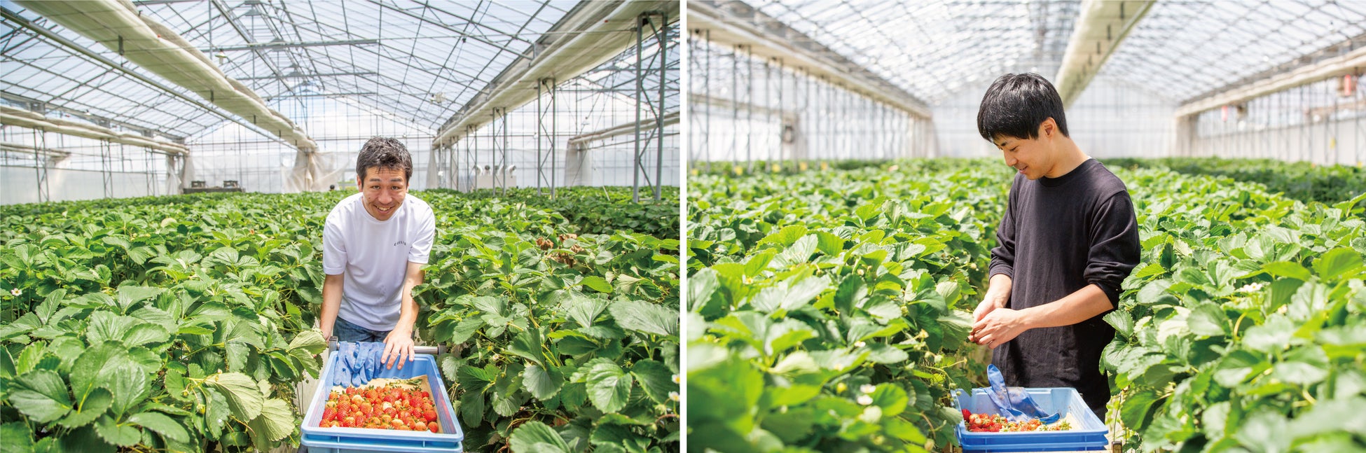 (左)ポイ活芸人・井上ポイント氏/(右)八芳園交流コンテンツプロデュース・鈴木裕登