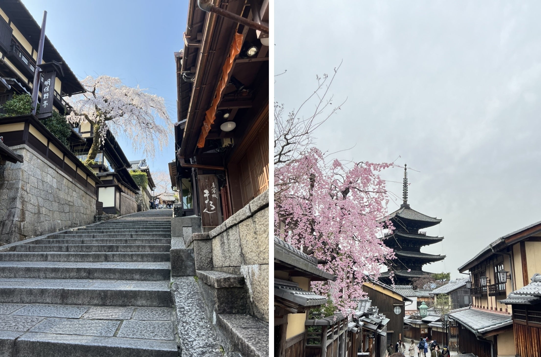 人力車コースイメージ