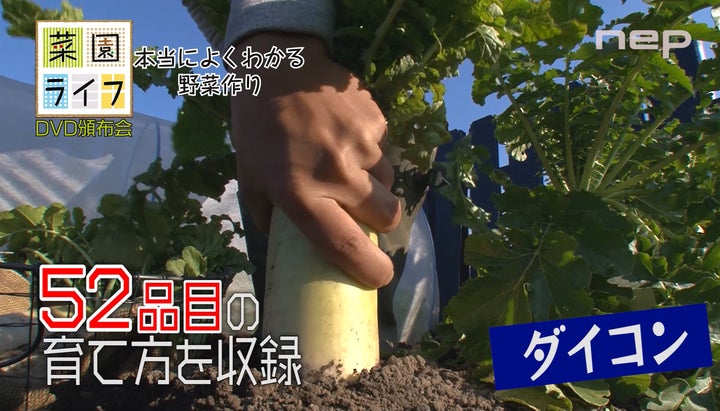 この春、家庭菜園を始めてみませんか? 人気商品「菜園ライフ」がDVD この春、家庭菜園を始めてみませんか? 人気商品「菜園ライフ」がDVD