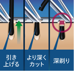 画像はイメージです