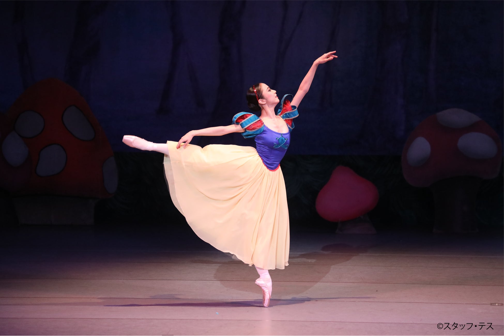 撮影:スタッフ・テス