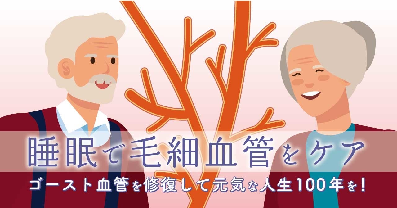 血管美人 マーキュレーター