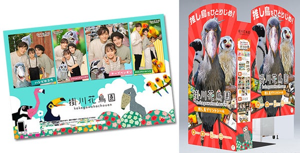 グランサガ ナマリエ 沢城みゆき 直筆サイン色紙 キャンペーン当選品 グランサガ ナマリエ 沢城みゆき 直筆サイン色紙 キャンペーン