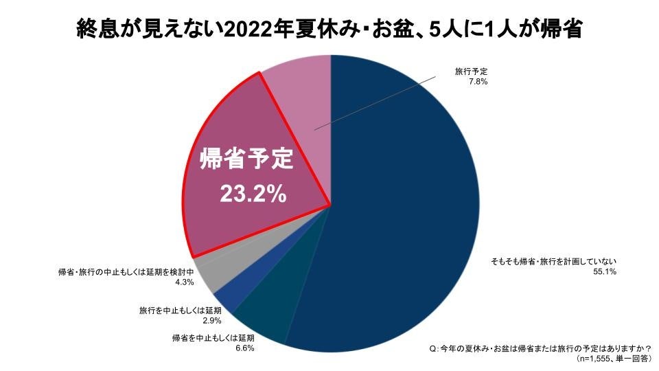 5人に1人が帰省