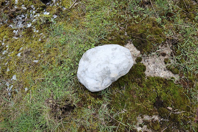 松延総司「私の石」 2011-   セメント ©SOSHI MATSUNOBE、Photo by Kai Maetani