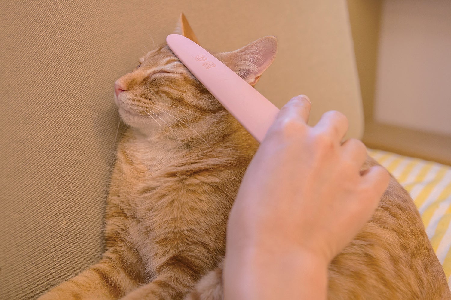 ねこじゃすり_ピンク