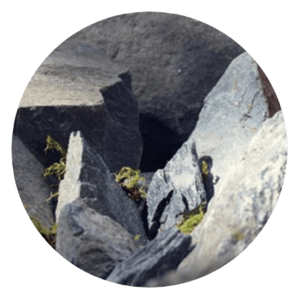 しなやかに弾むような肌へ 人気のスキンケア エーデルワイス シリーズに新アイテム登場 全製品ヴィーガン対応 22年12月26日 月 新発売 ザボディショップジャパン株式会社のプレスリリース