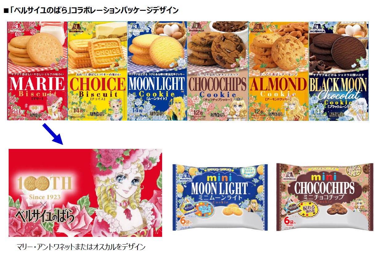 活動歴および当時の関連ビジュアル記録