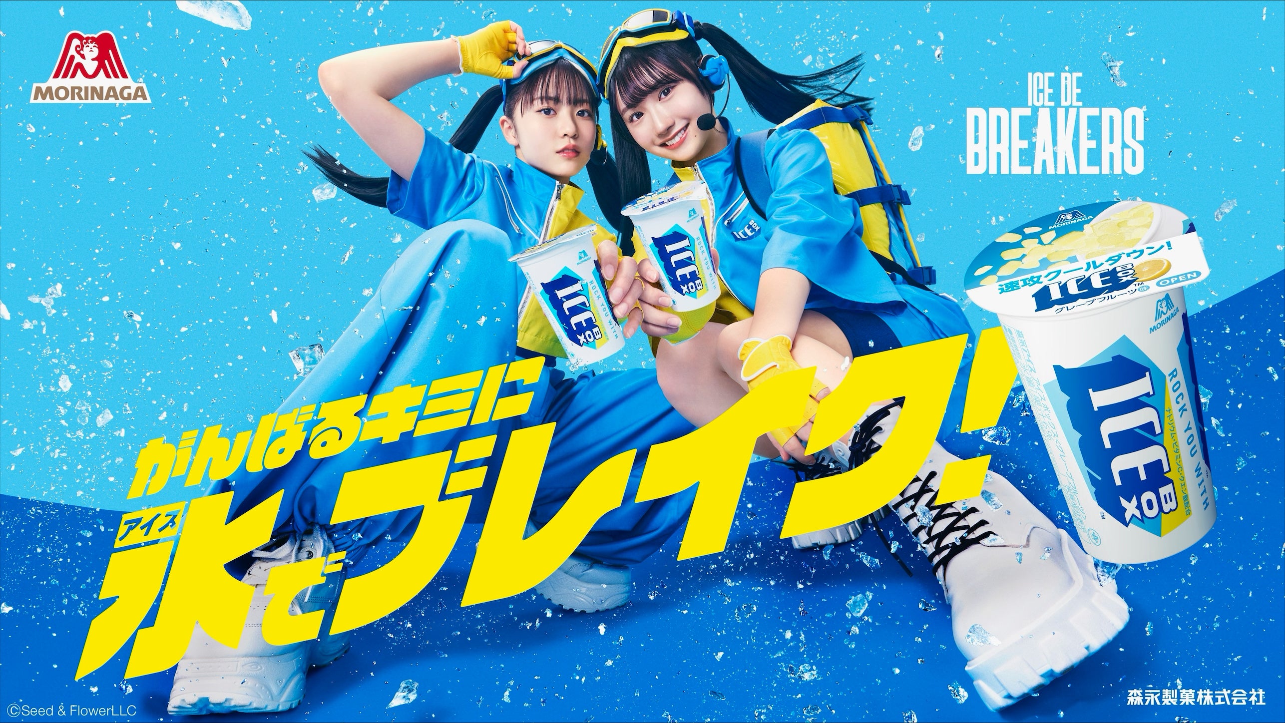 当選品 ICEBOX×日向坂46 ICE DE BREAKERS ミニポスター 19896-371-