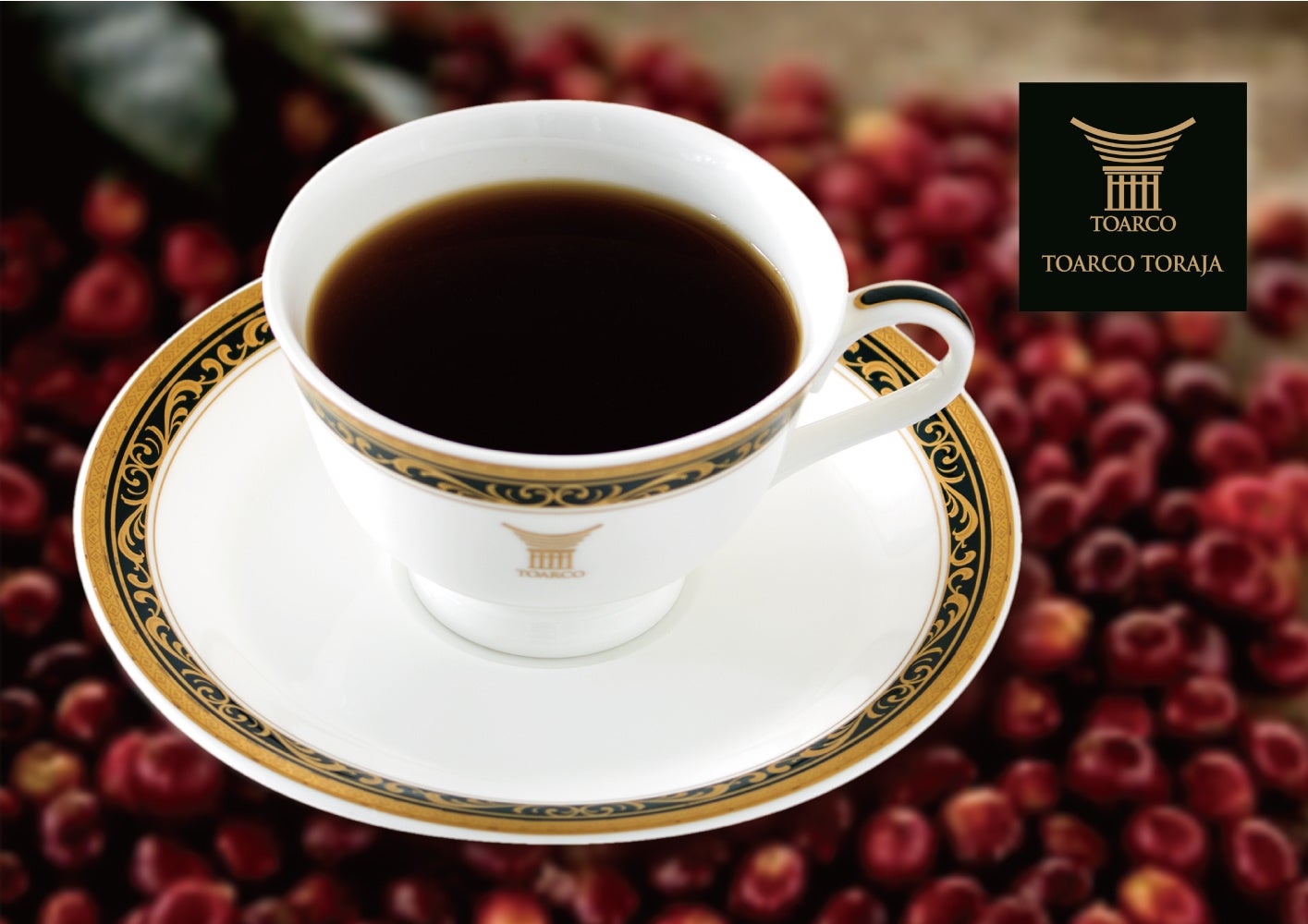 「トアルコ トラジャ」イメージ