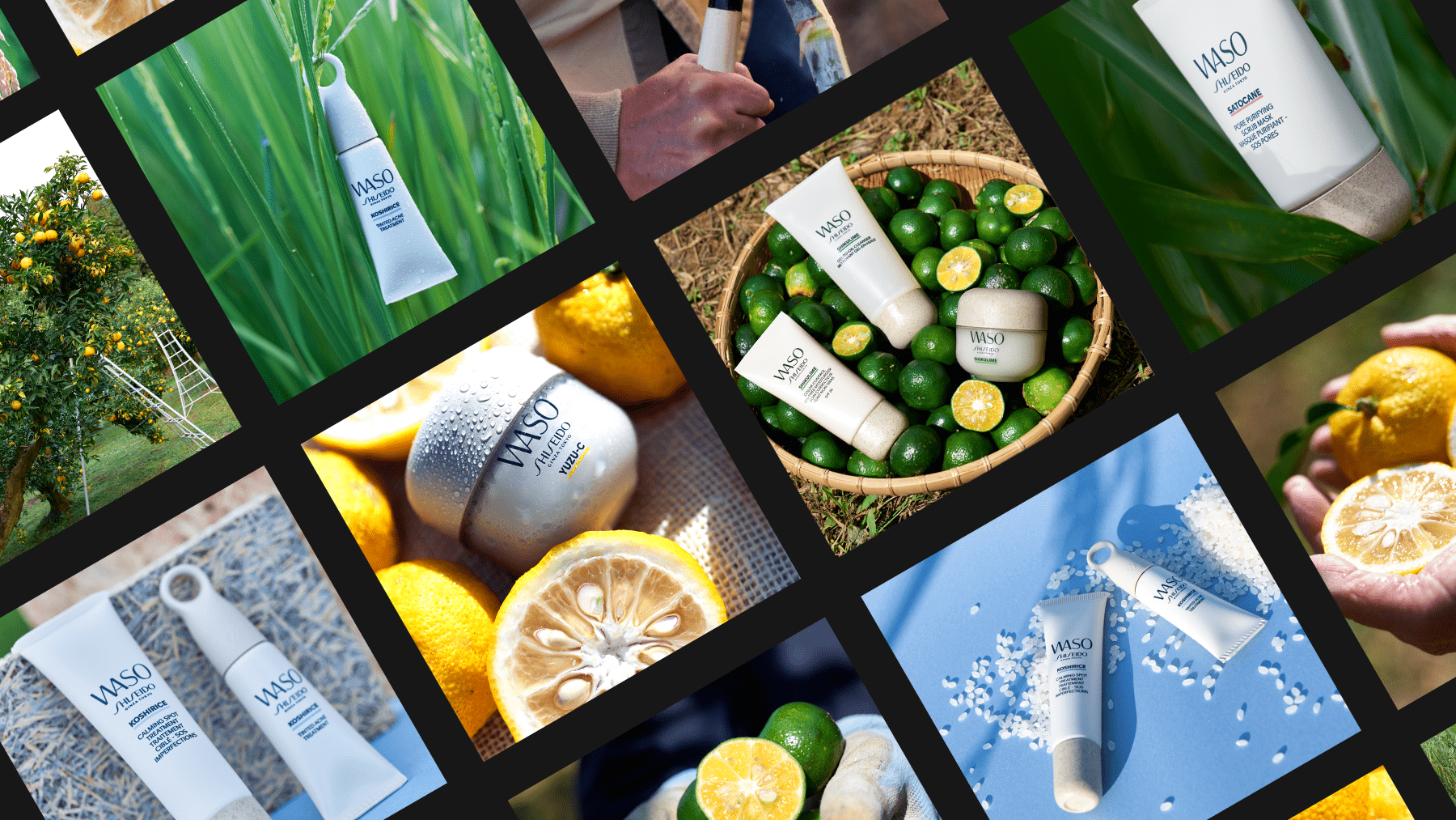 Shiseido WASO： Rebranding Strategy (Digital Communication, POP, PR) and Asset Creation