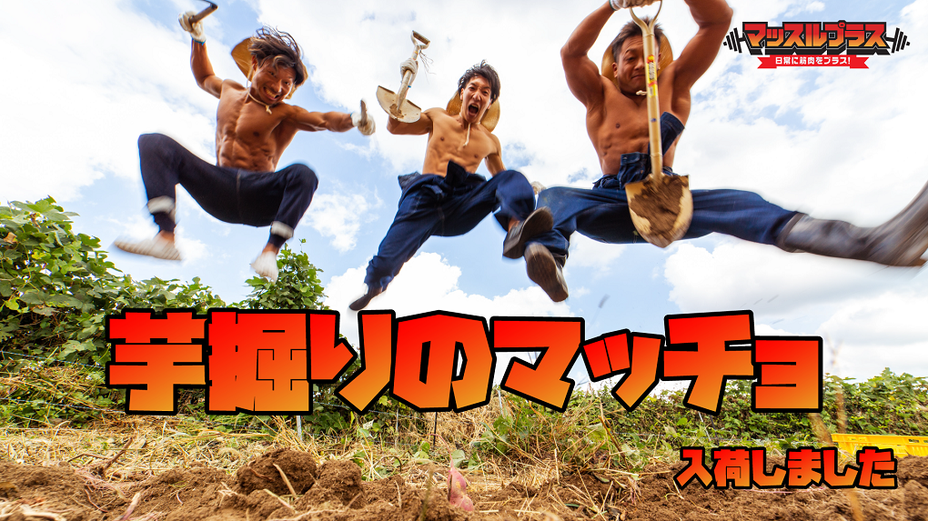 筋肉で地方創生】マッスルプラスが佐賀県唐津のさつま芋農家とコラボ