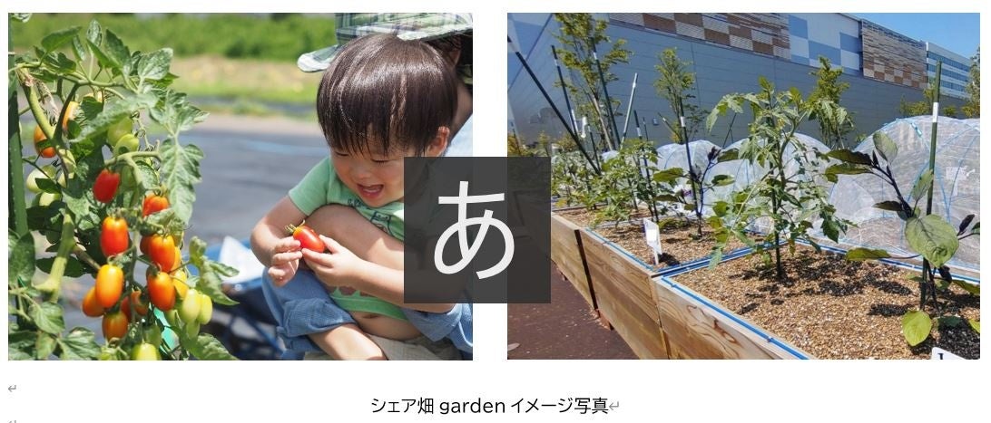西畑さん専用ページ 20053-1012-