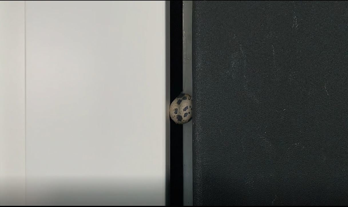 うずらの卵も割れない当社のソフトクローズ機能※社内設備にて実験