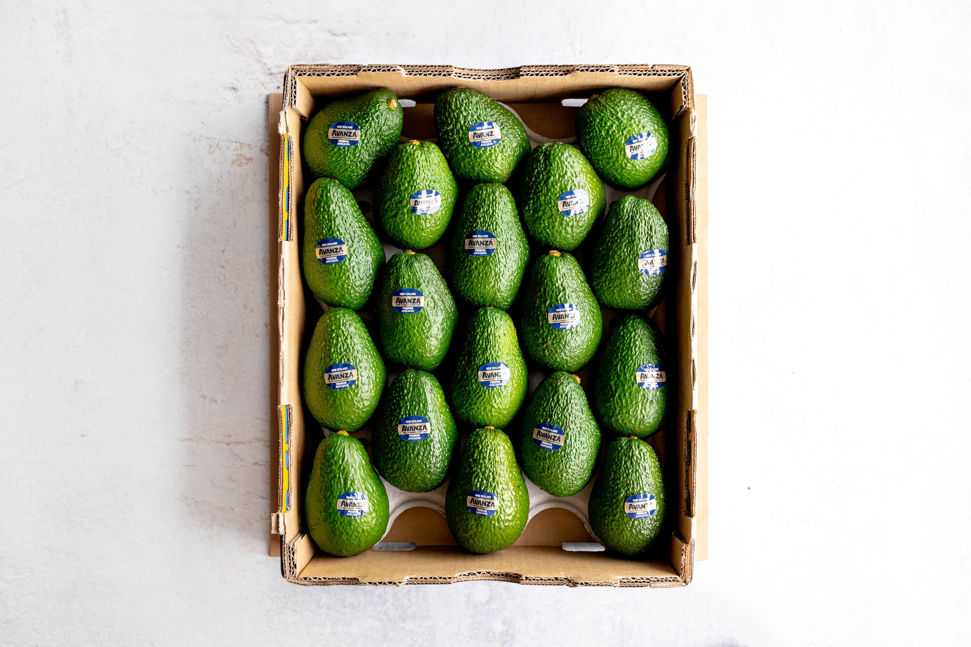 10月中旬から2025年シーズン販売開始 食にこだわる人が選ぶ