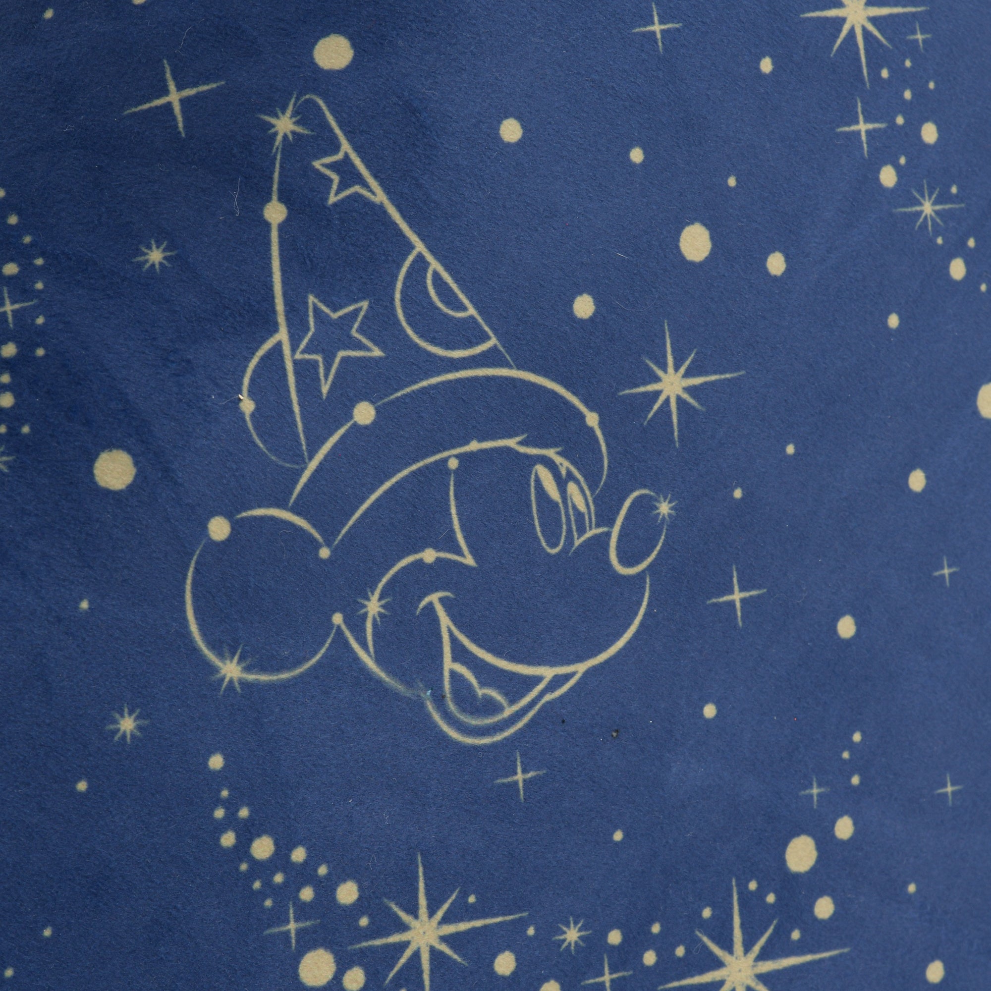 新品　ディズニー　ファンタジア25thアニバーサリー　LEDタペストリー JDS - Walt Disney Fantasia 2000 25th Anniversary x Mickey