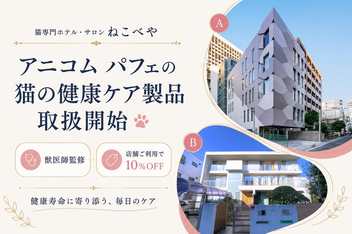 猫専門ホテル・サロン『ねこべや』、アニコム パフェの“猫の健康ケア 猫専門ホテル・サロン『ねこべや』、アニコム パフェの“猫の健康ケア