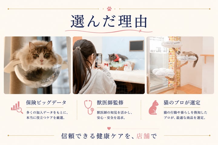 猫専門ホテル・サロン『ねこべや』、アニコム パフェの“猫の健康ケア 猫専門ホテル・サロン『ねこべや』、アニコム パフェの“猫の健康ケア