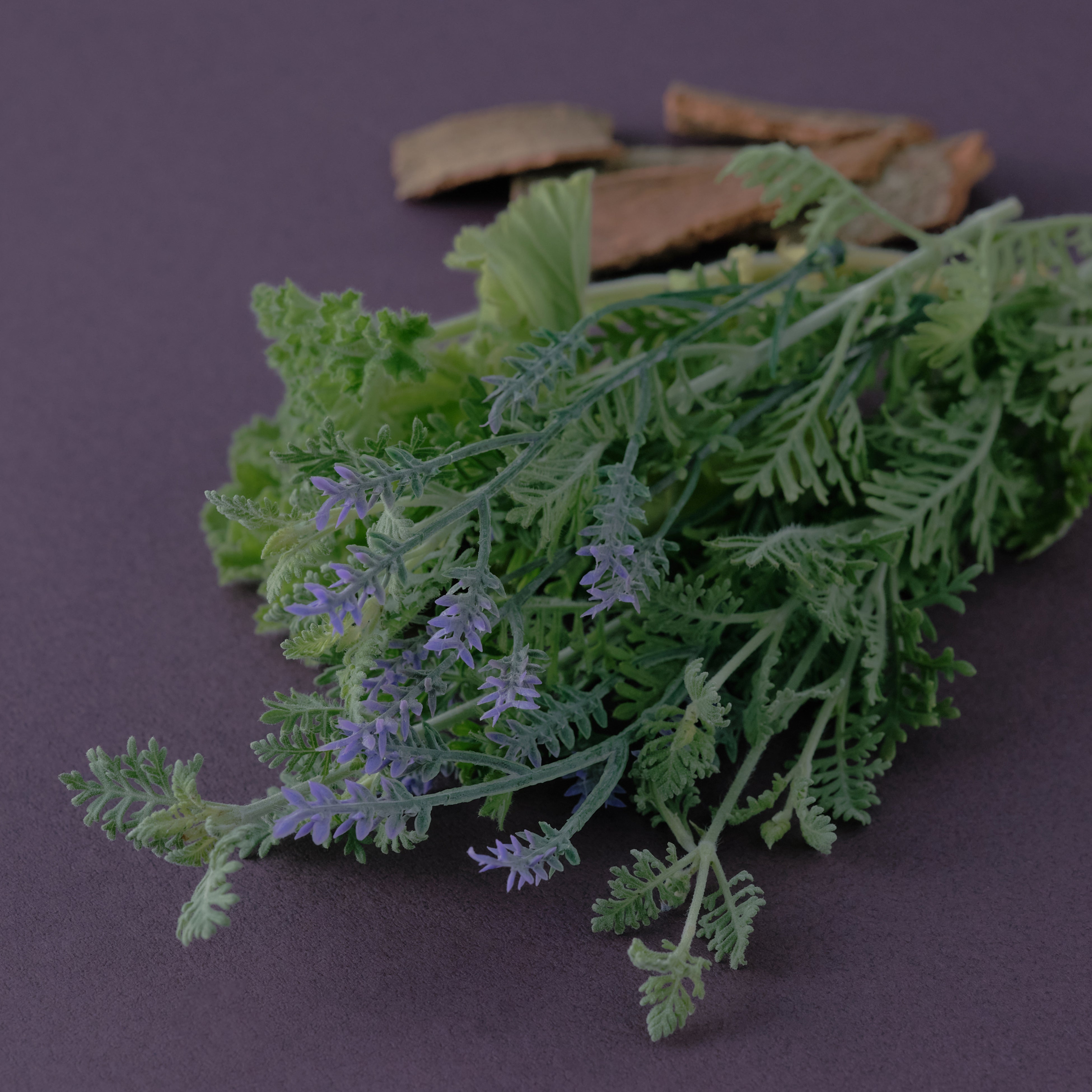 気圧予報アプリ「頭痛ーる」とのコラボレーション第2弾＞持ち歩ける