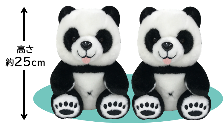 ふたごパンダちゃんぬいぐるみイメージ