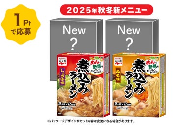 Vitantonio ホットプレート&永谷園 煮込みラーメングリル仕切り鍋 Vitantonio ホットプレート&永谷園 煮込みラーメングリル仕切り鍋