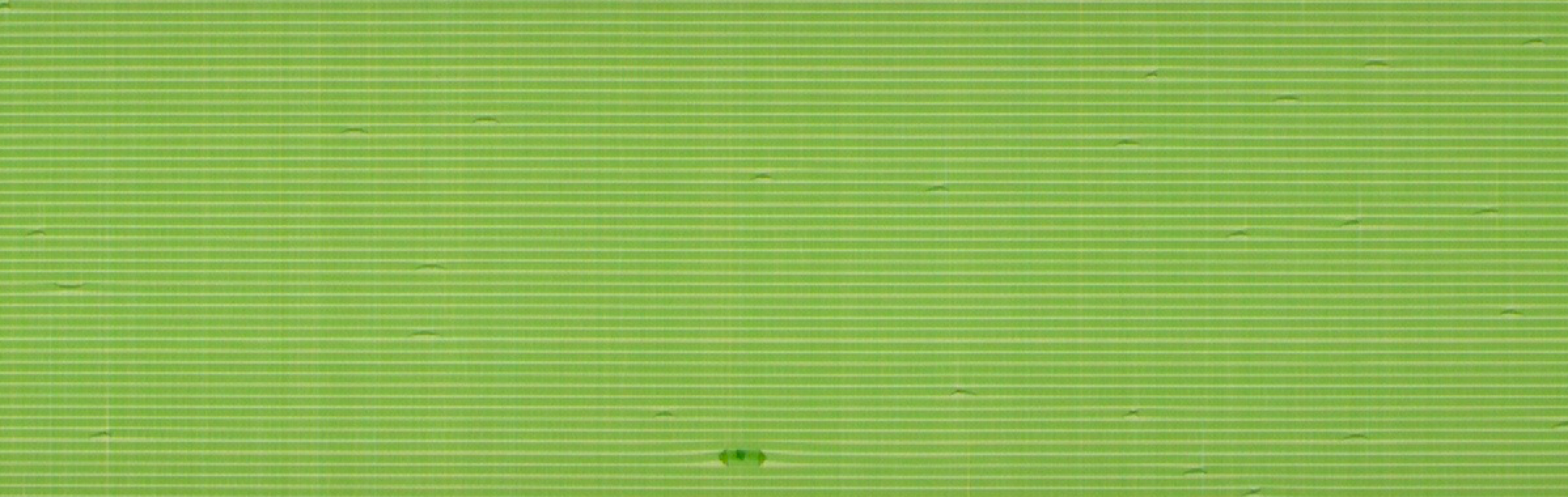 図1：キンク（繊維のよれ）撮像画像